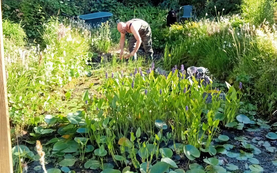 Verlang jij ook vaker naar rust en reflectie?